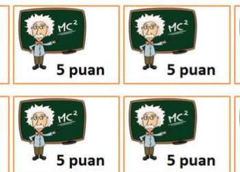 5 PUAN KARTLARI PROJEMİZ