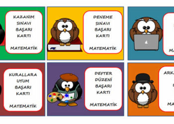 5 PUAN KARTLARI PROJEMİZ