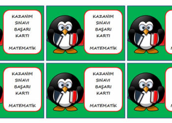 5 PUAN KARTLARI PROJEMİZ