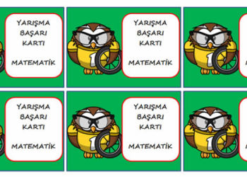 5 PUAN KARTLARI PROJEMİZ